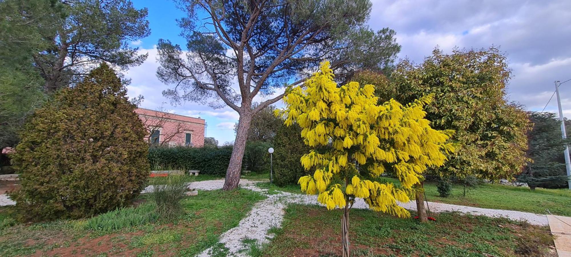 Villa Morea-Relax In Piscina Putignano Exteriér fotografie